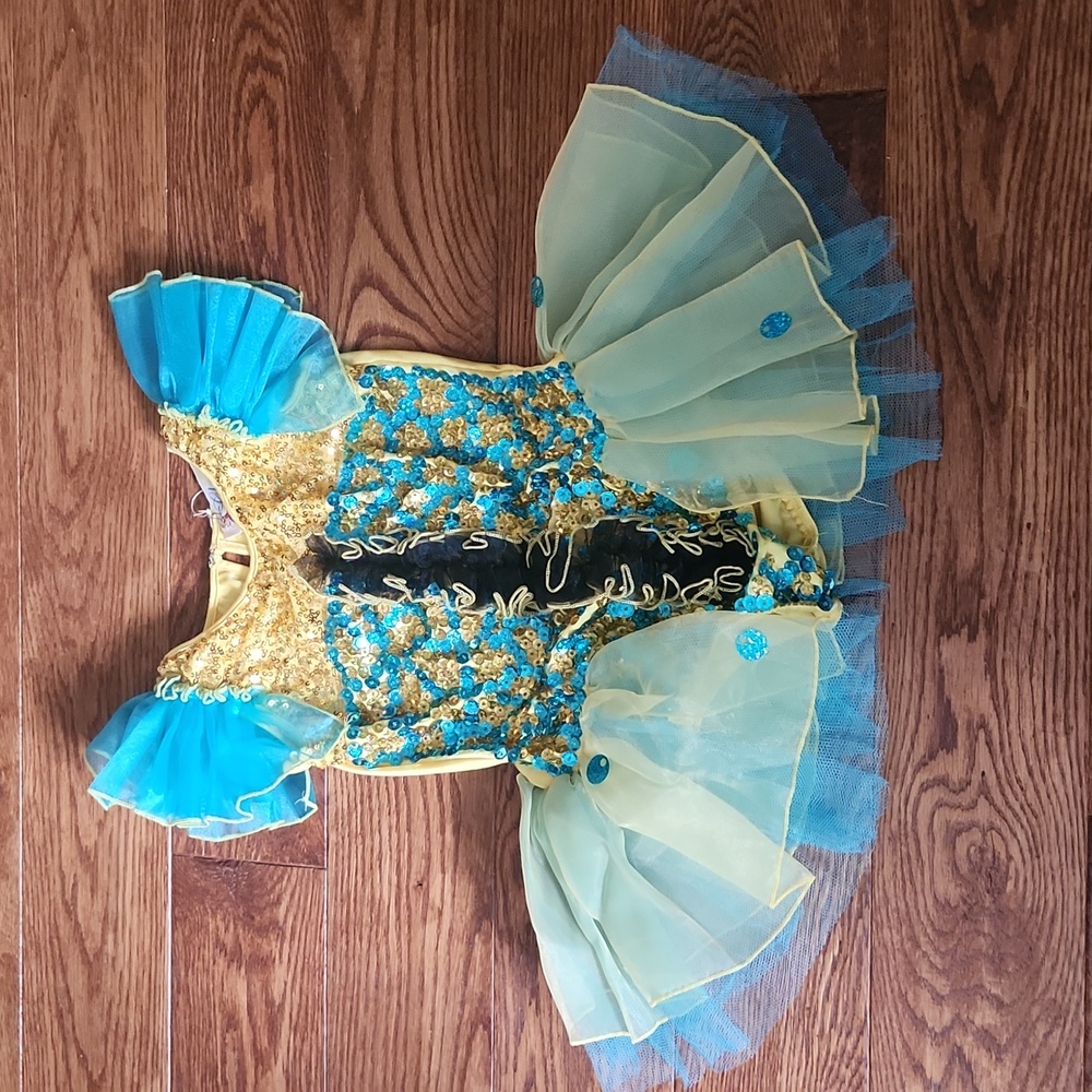Dance Costume